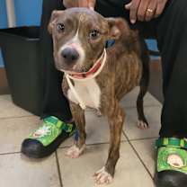 Thumbnail photo of Lorna 7655 #2