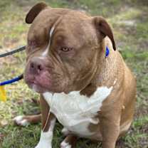 Thumbnail photo of Buddy #1