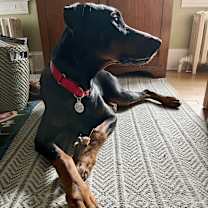 Thumbnail photo of Shaka #4