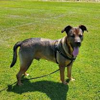 Thumbnail photo of Max #1