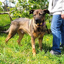 Thumbnail photo of Max #2