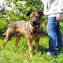 Thumbnail photo of Max #3