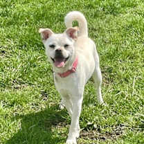 Thumbnail photo of Princess #4