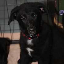 Thumbnail photo of Tony Stark (Photos 7/11/2025) #1