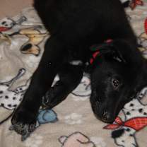 Thumbnail photo of Tony Stark (Photos 7/11/2025) #3