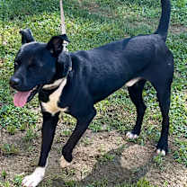 Thumbnail photo of Marcus #3