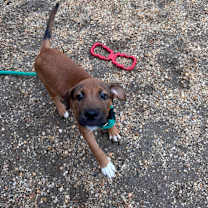 Thumbnail photo of Hali  #2