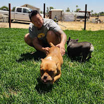 Thumbnail photo of Petunia #3