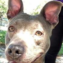 Thumbnail photo of Darla #1