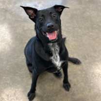 Thumbnail photo of Kingston #2