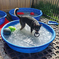 Thumbnail photo of Rocket #3