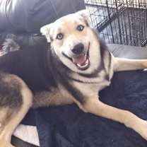 Thumbnail photo of Miss Liz #3