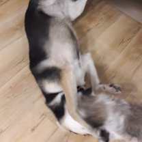 Thumbnail photo of Miss Liz #4