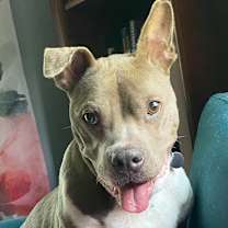 Thumbnail photo of Jellycat #4