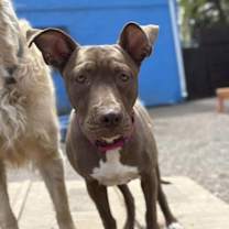 Thumbnail photo of Murdock #2