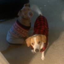 Thumbnail photo of King #4