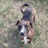 Thumbnail photo of Glorie #2