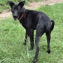 Thumbnail photo of P. Sherman 42 Wallaby Way *Syd #3