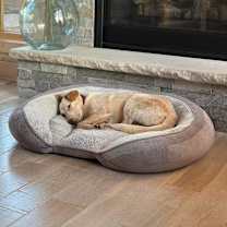 Thumbnail photo of Nila #4