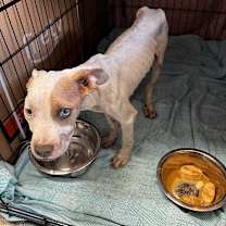 Thumbnail photo of Clyde  #2