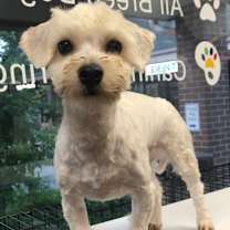 Thumbnail photo of Noah #3