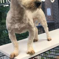 Thumbnail photo of Noah #4