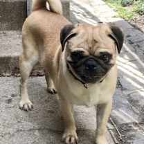 Thumbnail photo of Sam #4