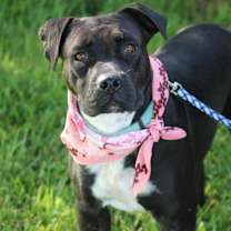 Thumbnail photo of Debbie #1