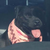 Thumbnail photo of Debbie #4