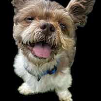 Thumbnail photo of Stash #2