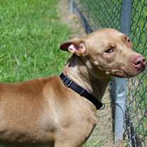 Thumbnail photo of Tropicana #2