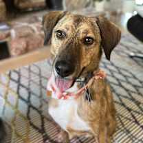 Thumbnail photo of Nelson #1