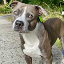 Thumbnail photo of Swagger #3