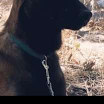 Thumbnail photo of Adana #1