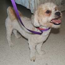 Thumbnail photo of Mattie #2