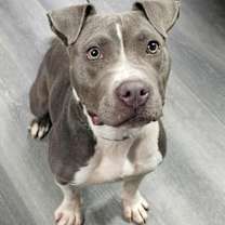 Thumbnail photo of Suga #1