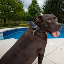 Thumbnail photo of Wrangler #3