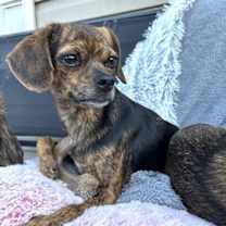 Thumbnail photo of Maria #1