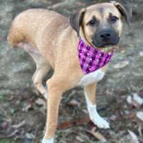 Thumbnail photo of Zoe #2