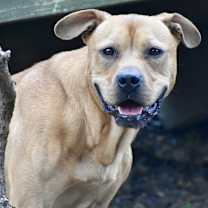 Thumbnail photo of Willie #2