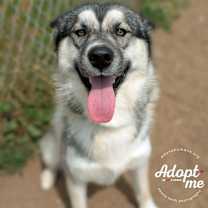 Thumbnail photo of Neo #2