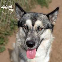 Thumbnail photo of Neo #3