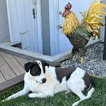 Thumbnail photo of Malu #1