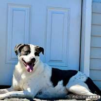 Thumbnail photo of Malu #2