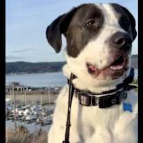 Thumbnail photo of Malu #3