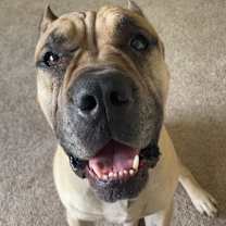 Thumbnail photo of George #1