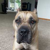 Thumbnail photo of George #2