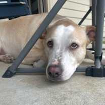 Thumbnail photo of Willow III (New Digs) #1