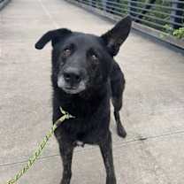 Thumbnail photo of Boo #2