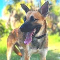 Thumbnail photo of Journey #1